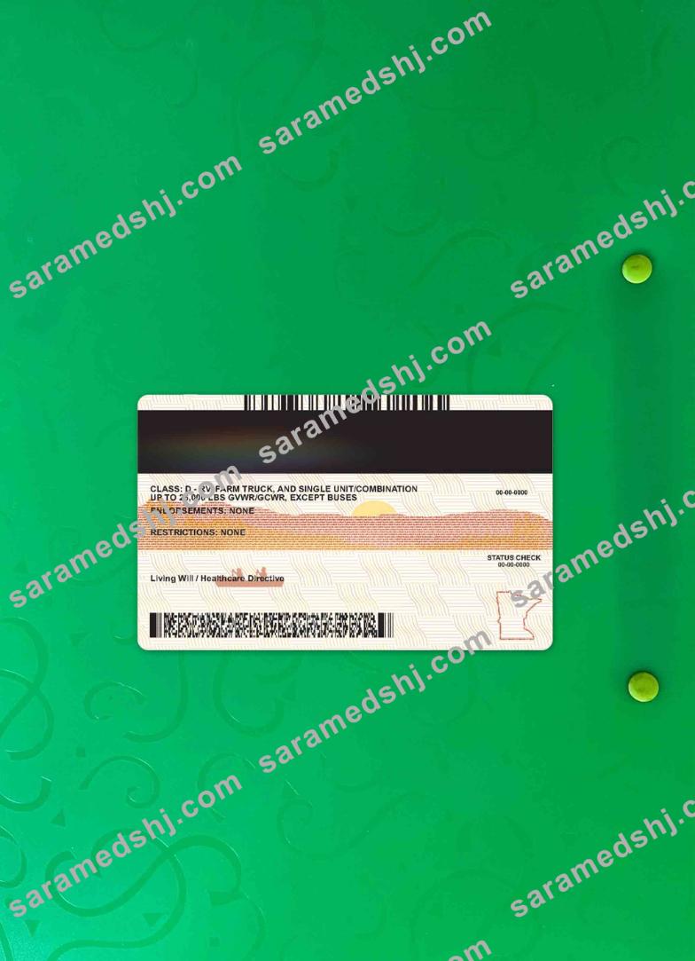 USA Minnesota driving license under 21 photolook BACK
